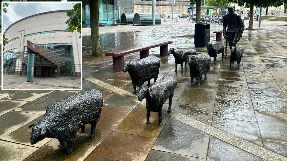 Belfast - Sheep On The Road - Waterfront Hall